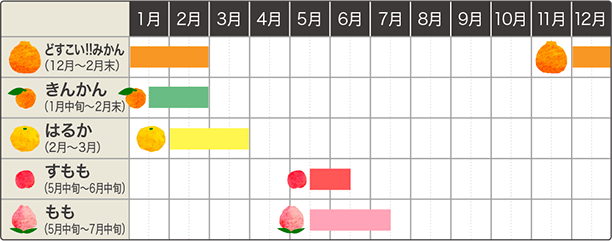 ハナウタカジツの果実カレンダー